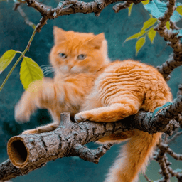 Art Collection Item 1: Vibrant Abstract Artwork